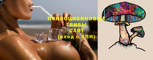 соль ск Касимов