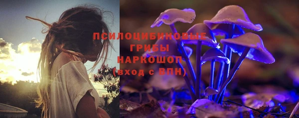 соль ск Касимов