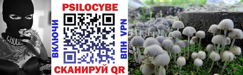 Псилоцибиновые грибы Psilocybine cubensis  Купить  Минусинск 
